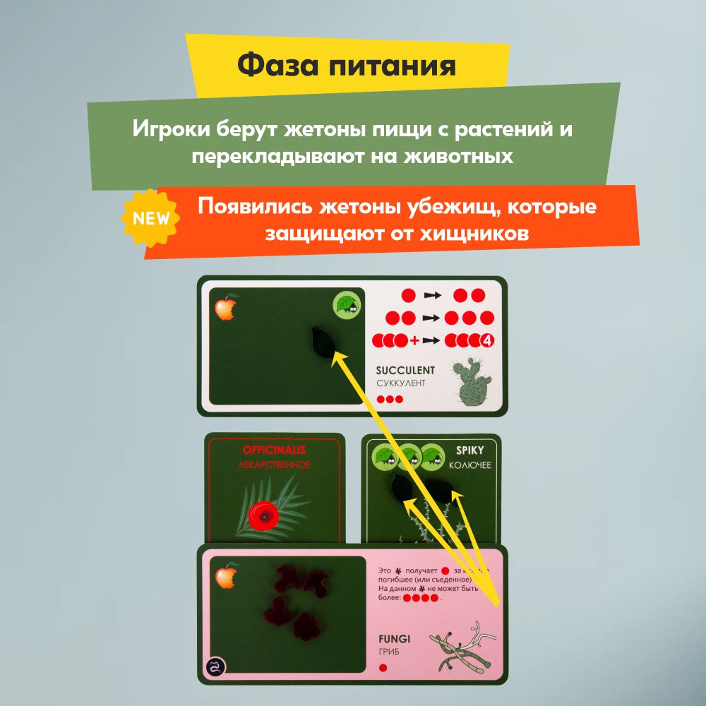 Настольная игра Правильные Игры Эволюция Растения - фото 9