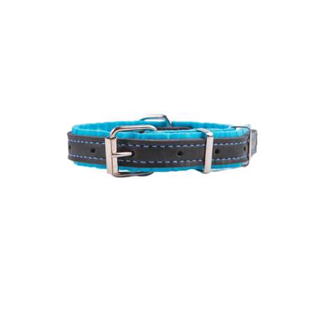 Ошейник для собак Arkon 22-30см Голубой