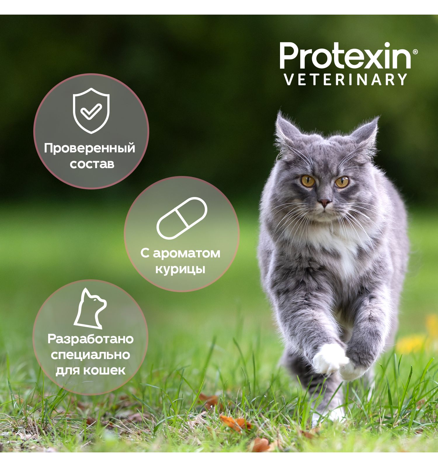 Добавка для кошек и собак Protexin Цистофан кормовая 30капсул - фото 7