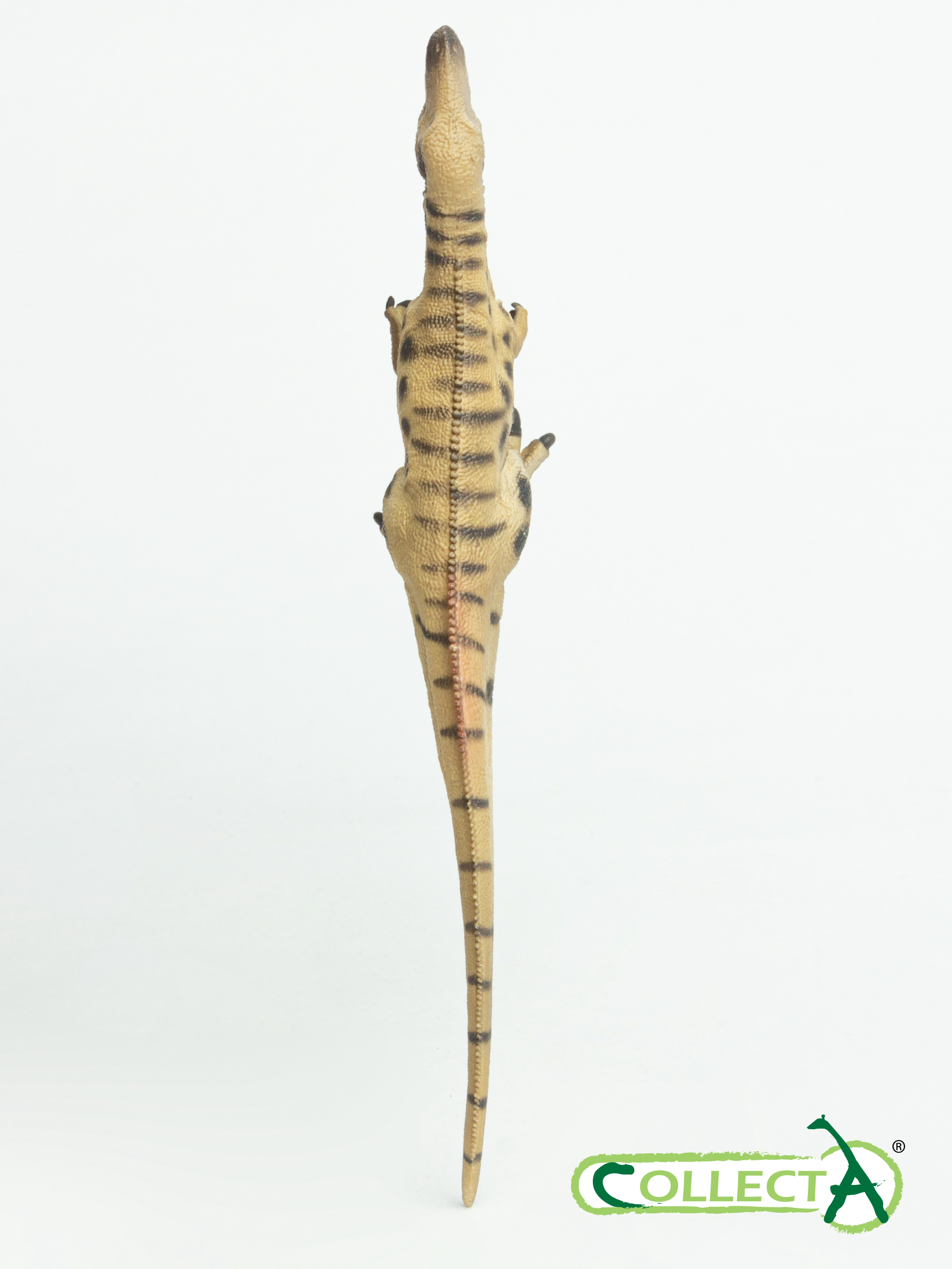 Фигурка Collecta Динозавр Мегалозавр - фото 9