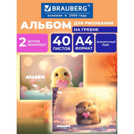 Альбом Brauberg А4 40 лист. 2 шт.