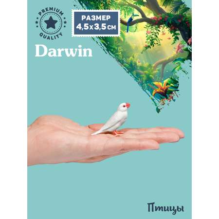 Фигурка DARWIN Птицы Амадина