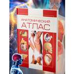 Книга Атлас анатомии человека Харвест основы строения и физиология