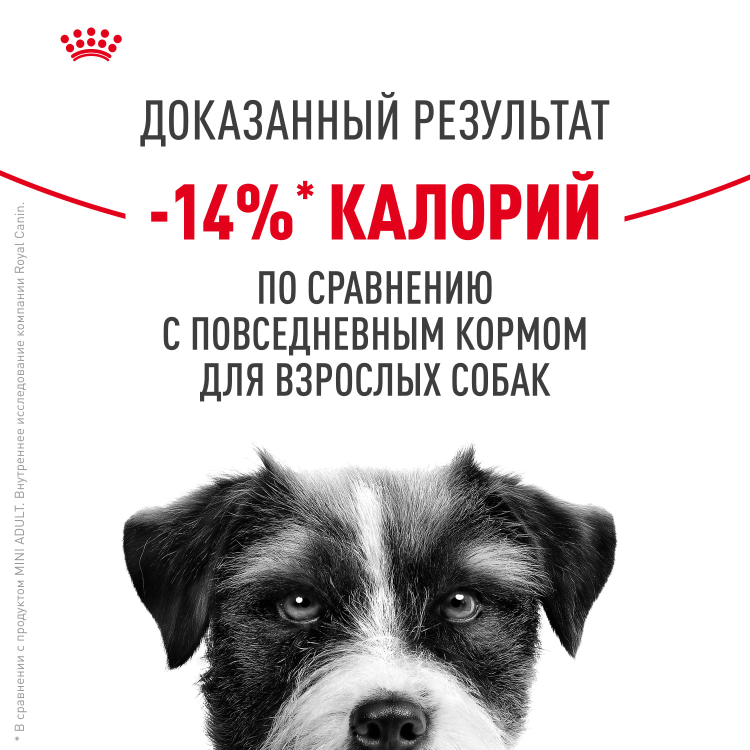 Корм для собак ROYAL CANIN Mini Sterilised стерилизованных 3кг - фото 5