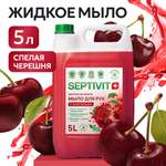 Мыло жидкое SEPTIVIT Спелая черешня 5200 г 5000 мл