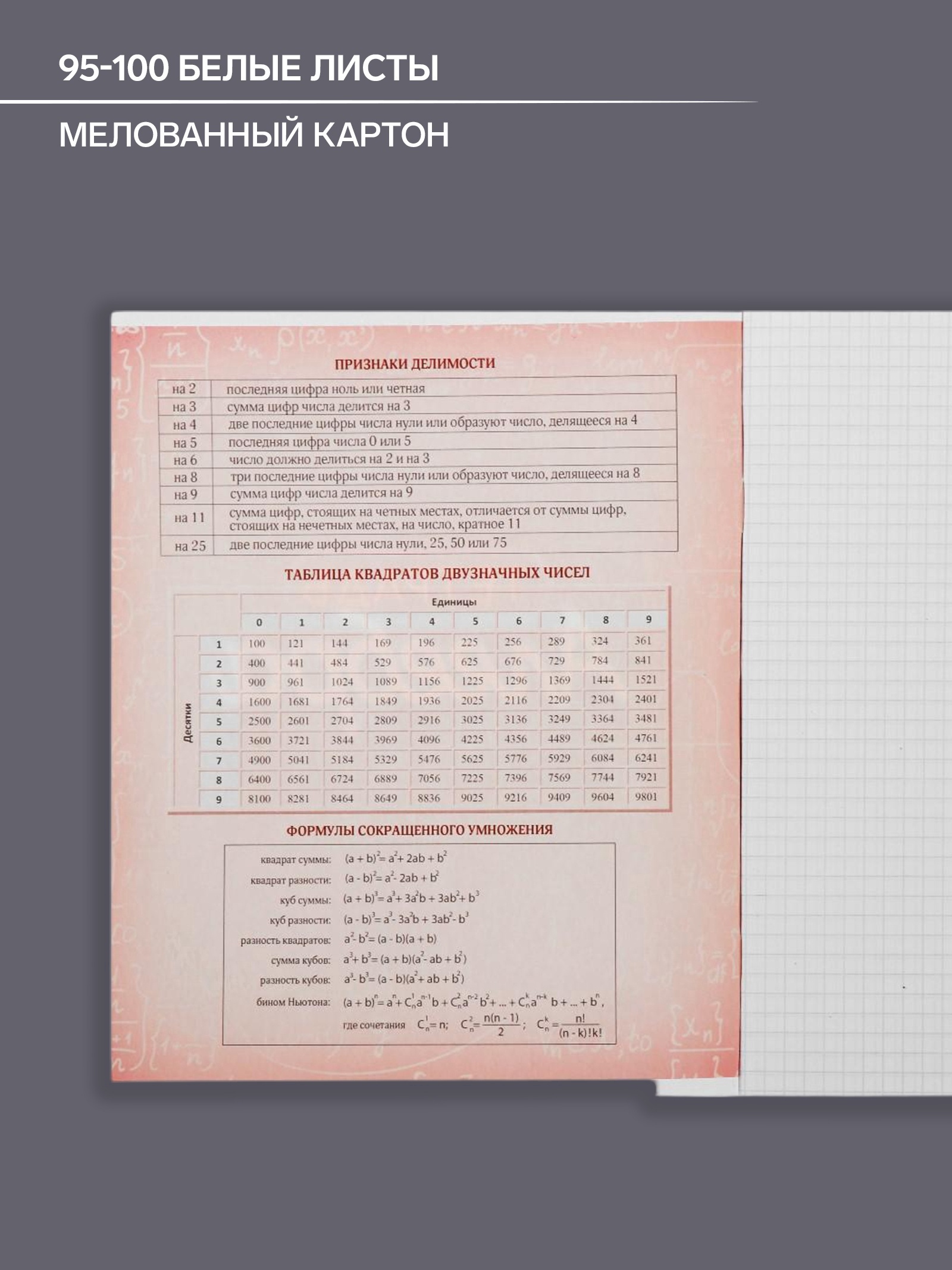 Тетрадь Calligrata клетка - фото 5