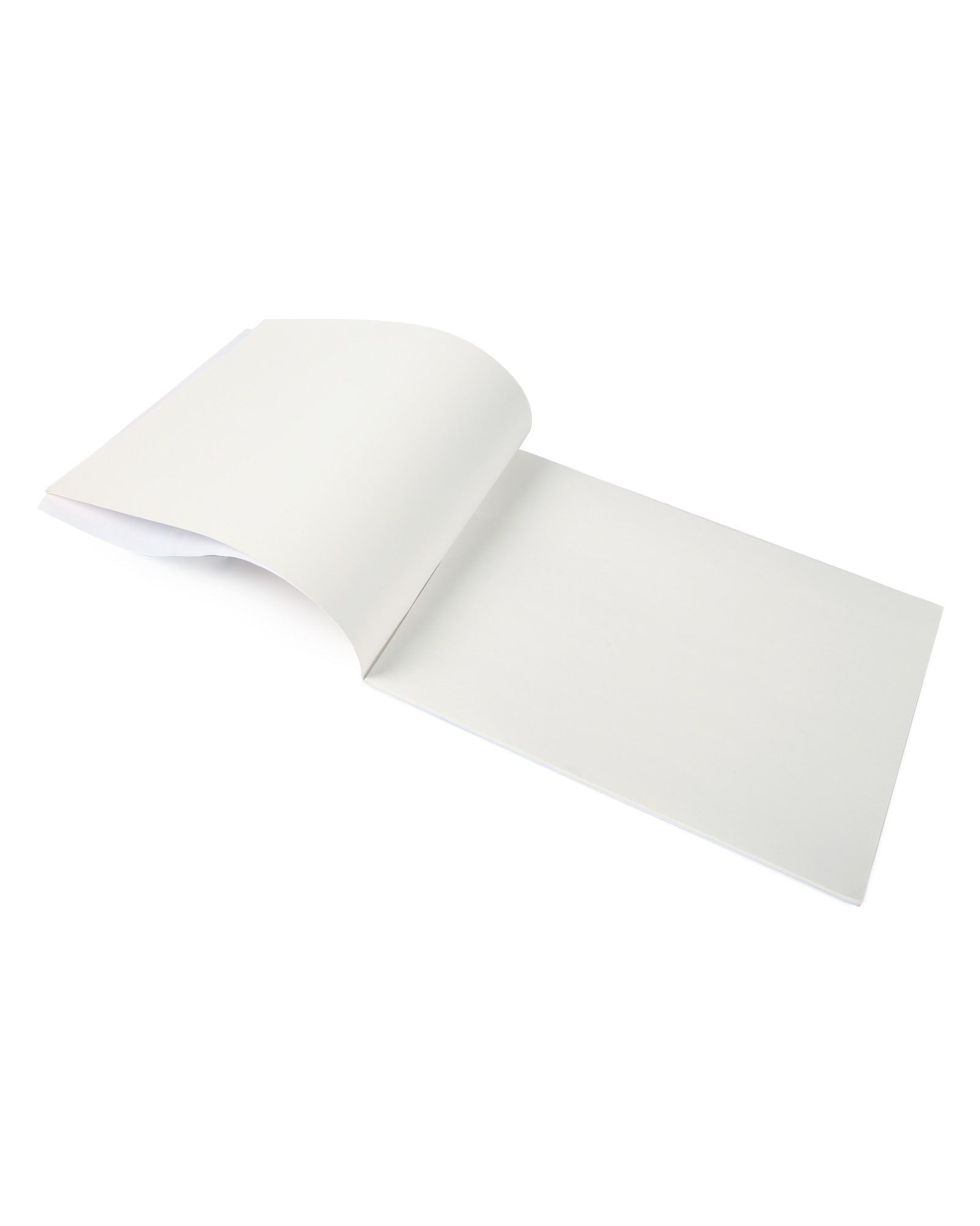 Альбом Мировые тетради А4 20 лист. в ассортименте - фото 2