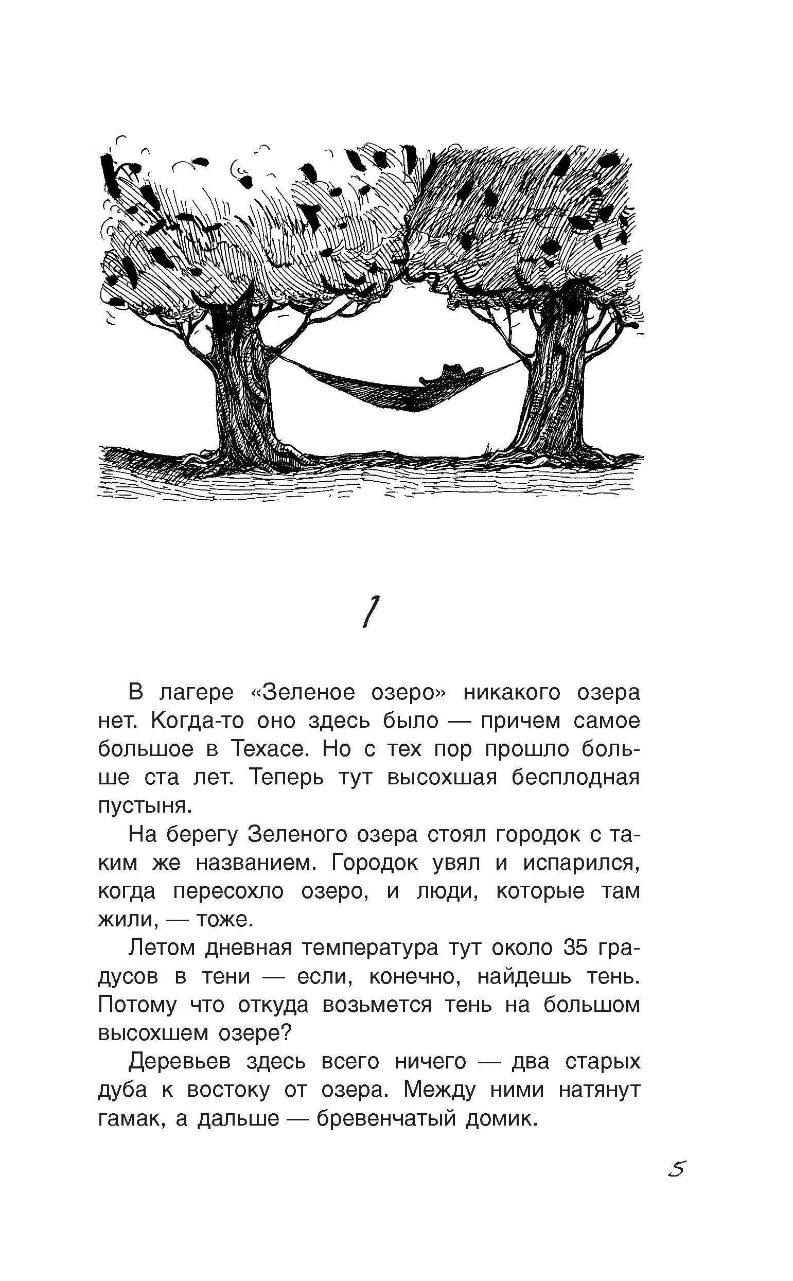 Книга Качели Ямы - фото 5