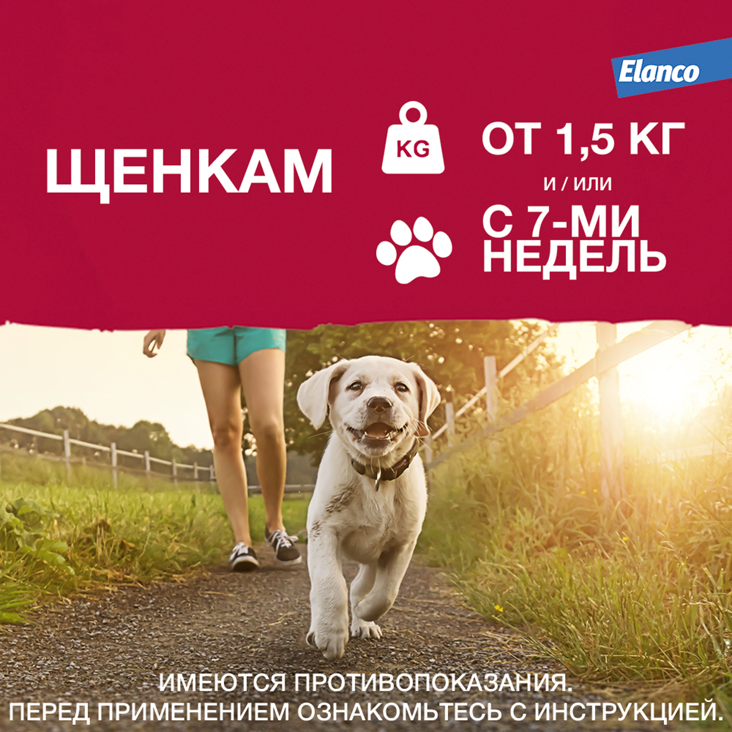 Препарат инсектоакарицидный для собак Elanco Адвантикс 1мл 4пипетки - фото 7