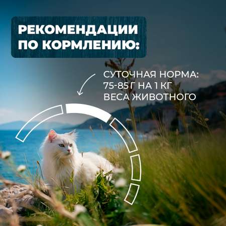 Корм для кошек Родные корма с чувствительным пищеварением По-крымски с ягненком кусочки в соусе 85г