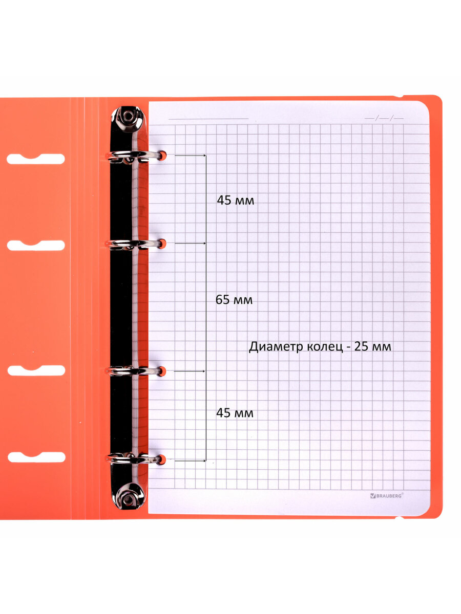 Тетрадь со сменным блоком Brauberg клетка 120 лист. - фото 5