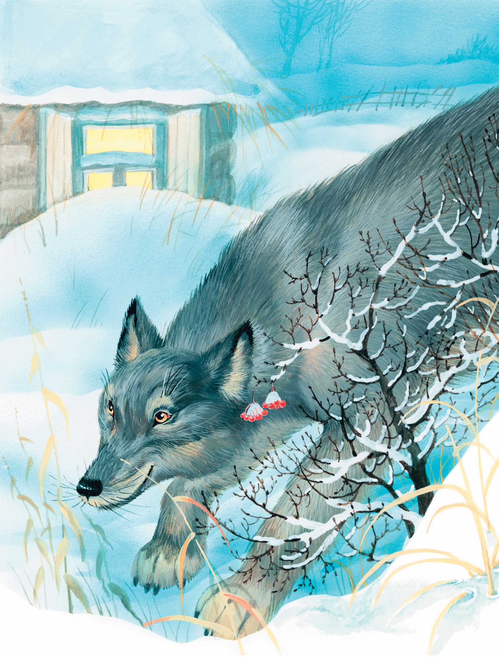 Книга Эксмо Усы, перья и хвосты. Рассказы русских писателей о животных (ил. М. Белоусовой) - фото 9