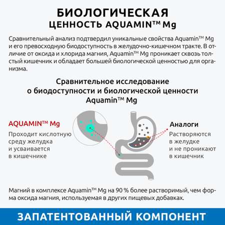 Магний витамин В6 премиум UltraBalance для взрослых мужчин и женщин Magnesium b6 с аквамином 120 капсул