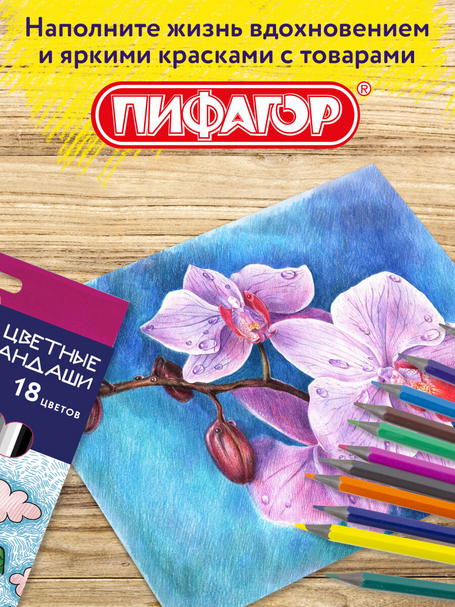 Карандаши цветные Пифагор 18 шт. - фото 6