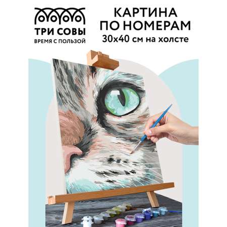 Картина по номерам ТРИ СОВЫ Кошачий взгляд