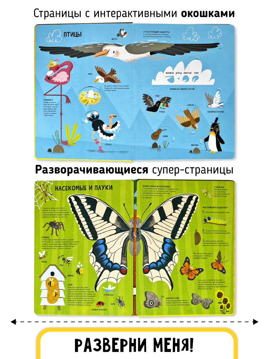 Книга с окошками и pop up Счастье внутри из научной серии Дискавери с интерактивными страницами Животные - фото 5