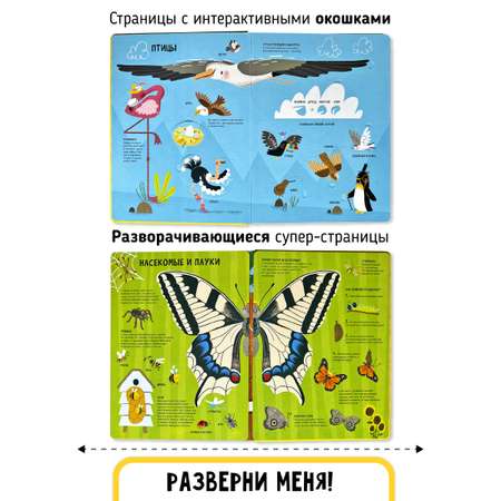 Книга с окошками и pop up Счастье внутри из научной серии Дискавери с интерактивными страницами Животные