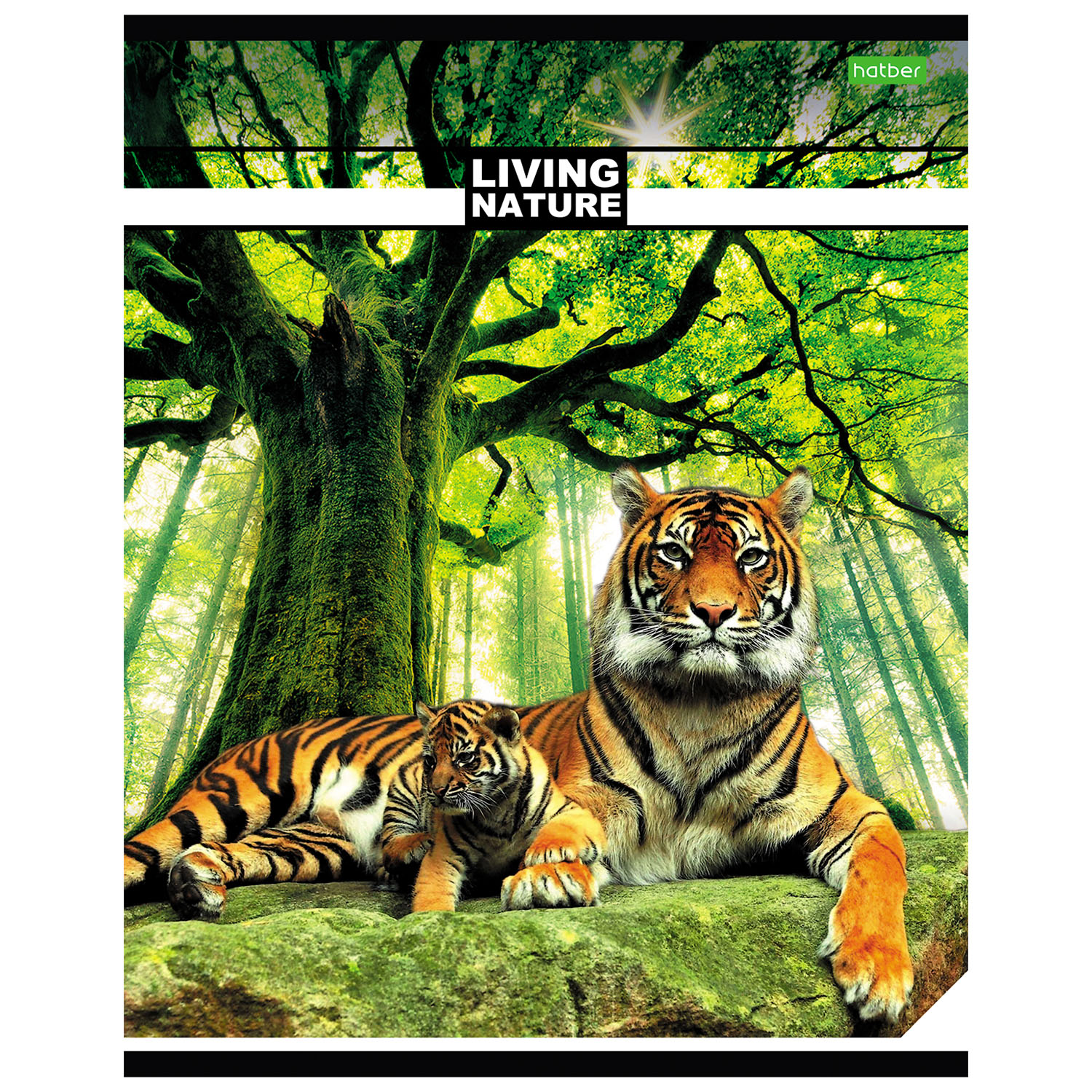 Общая тетрадь Hatber линейка 48 лист. в ассортименте - фото 3