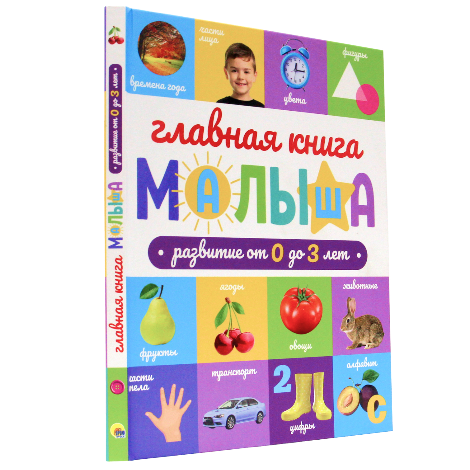 Книга Проф-Пресс развивающая Главная книга малыша от 0 до 3 лет. 128 стр - фото 1