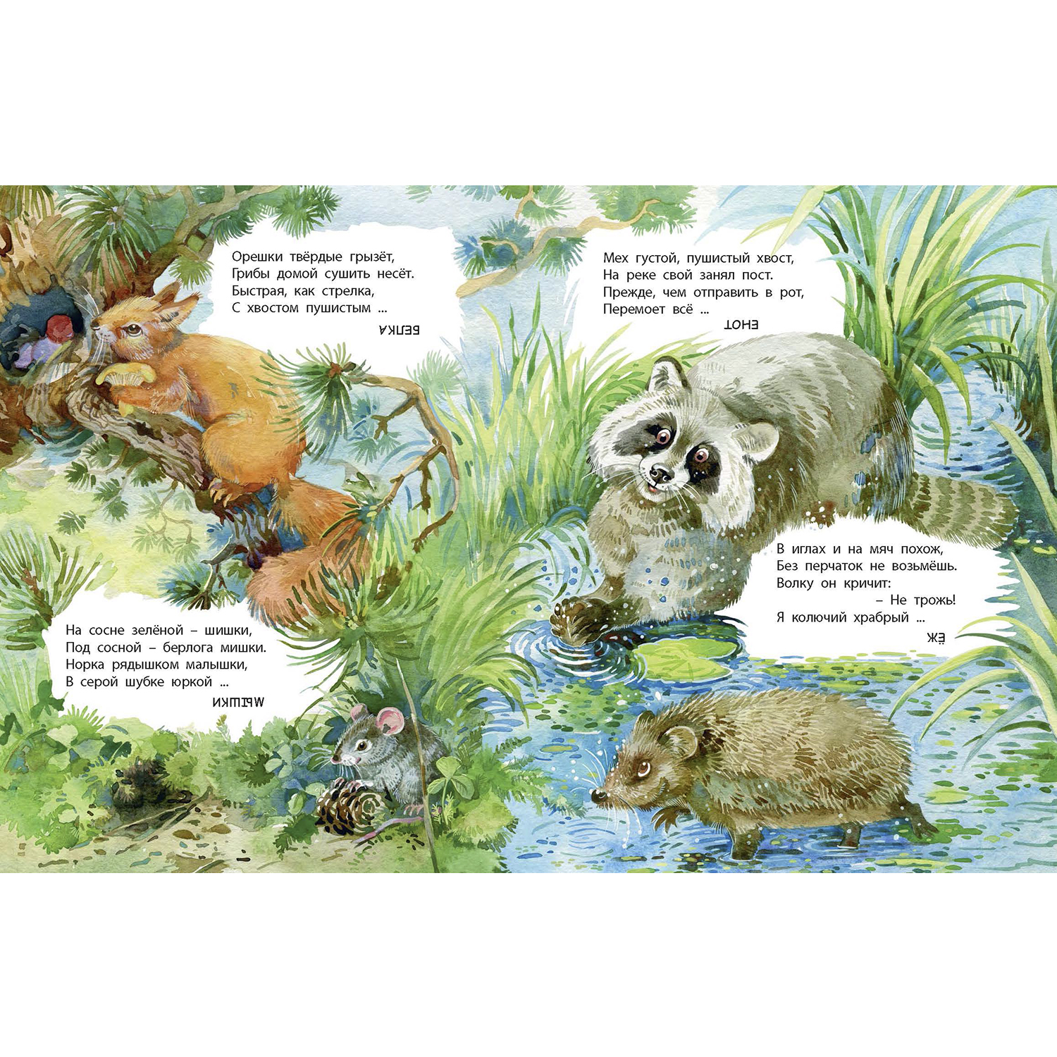 Книга ЭНАС-КНИГА Что найдём с тобой в лесу? Стихи-загадки - фото 3