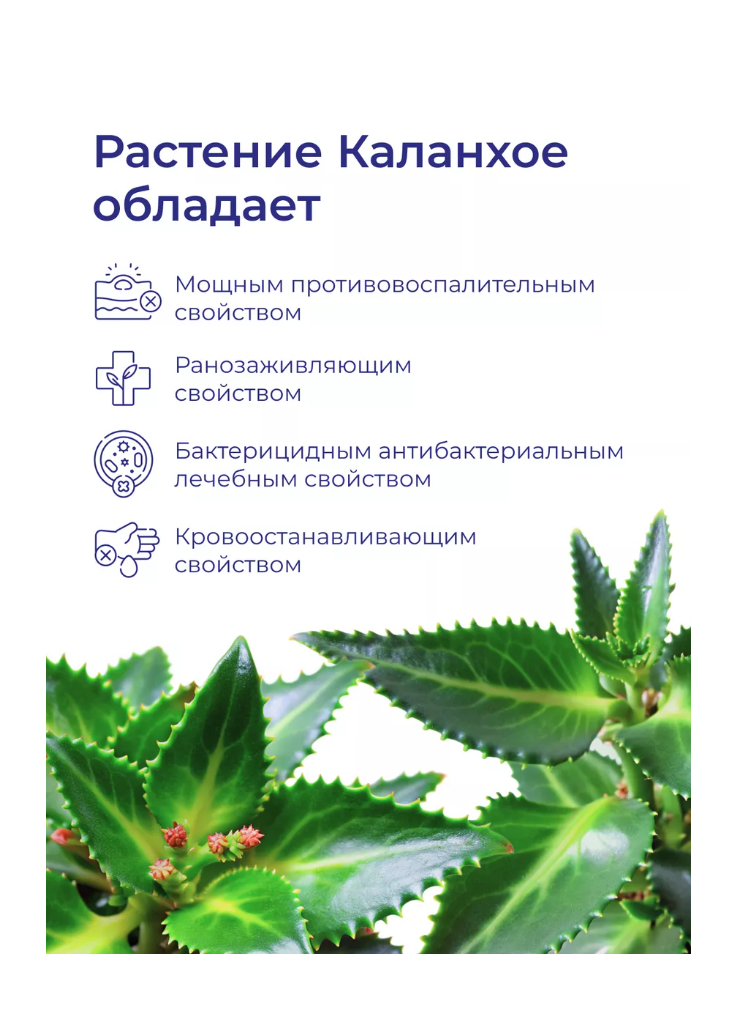 Влажные салфетки ComForte - фото 5