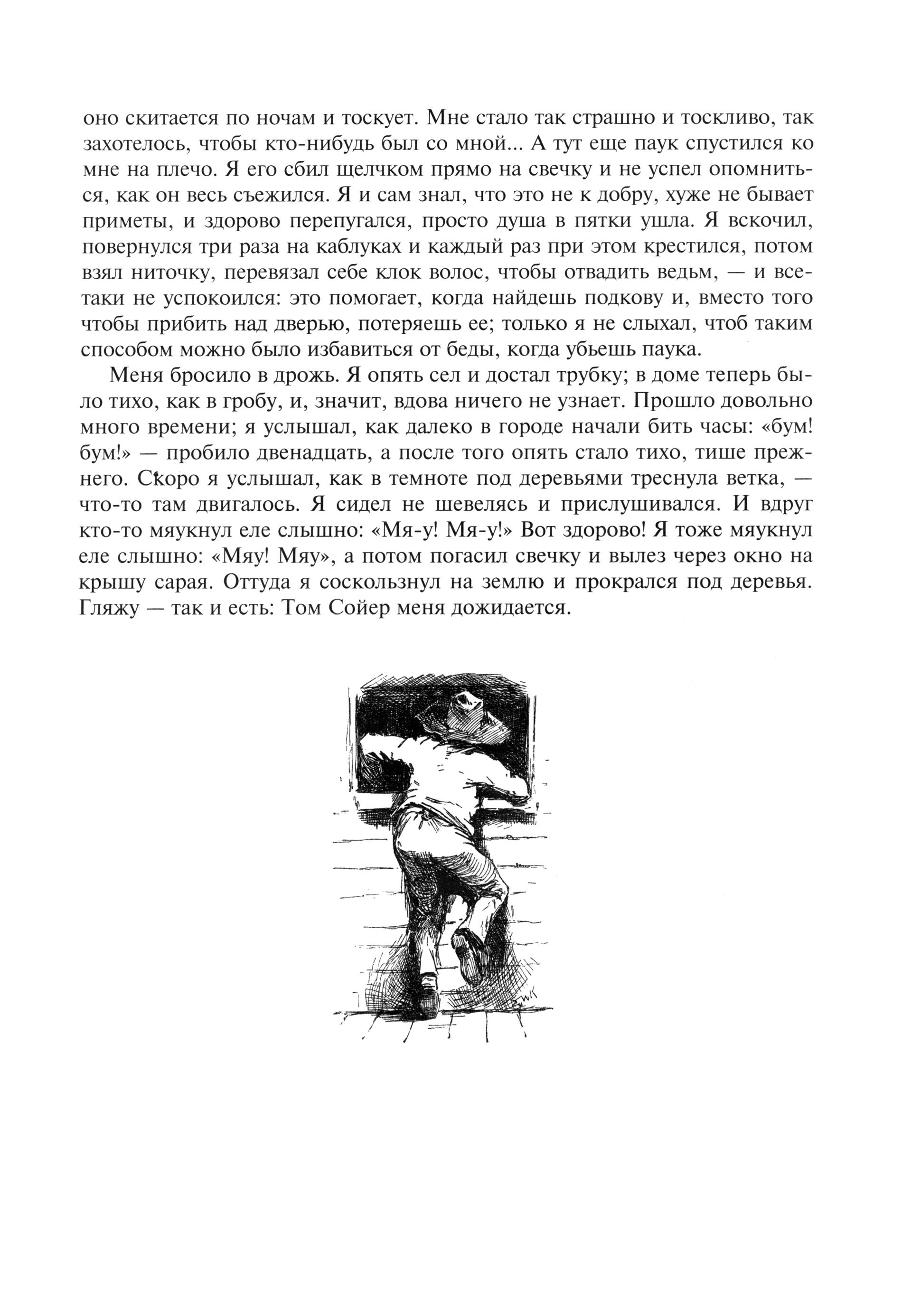 Книга Альфа-книга Приключения Гекльберри Финна - фото 9