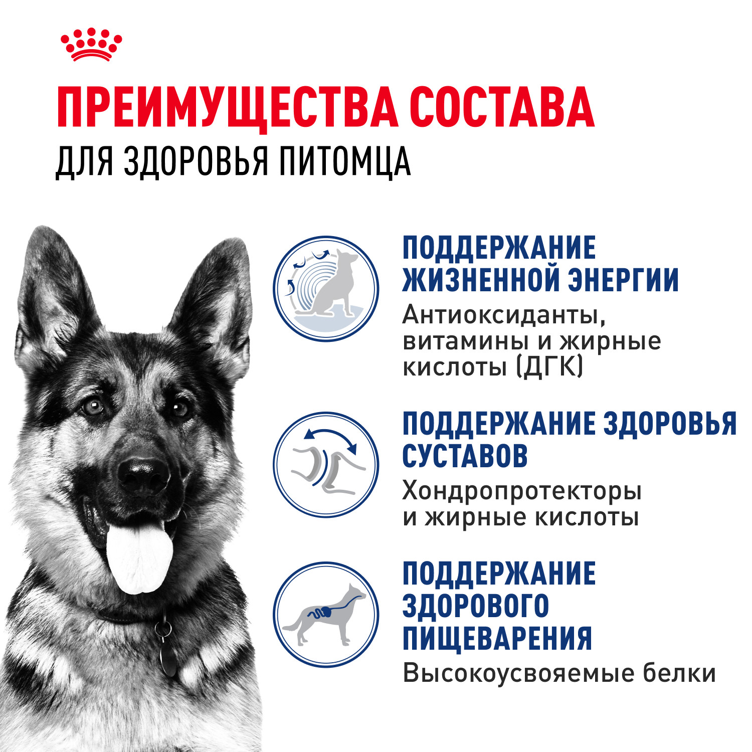 Корм для собак ROYAL CANIN пожилых крупных пород 15кг - фото 3