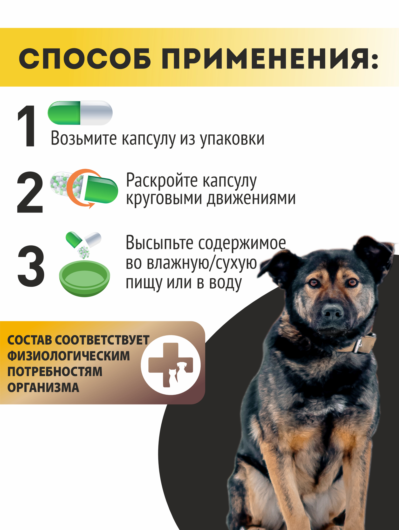 Витаминный комплекс ALTAI ANIMAL для собак Здоровые суставы крепкие кости - фото 5