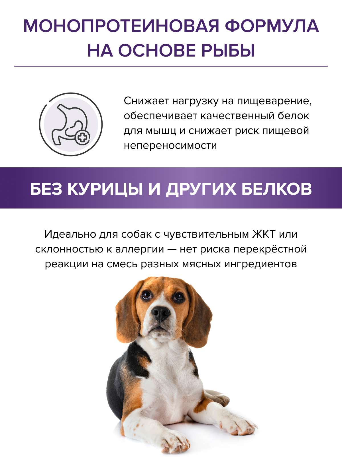 Корм для взрослых собак DOCTRINE сухой средних и крупных пород с белой рыбой и рисом 800 г - фото 6