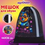 Мешок для обуви Юнландия
