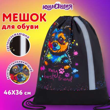 Мешок для обуви Юнландия