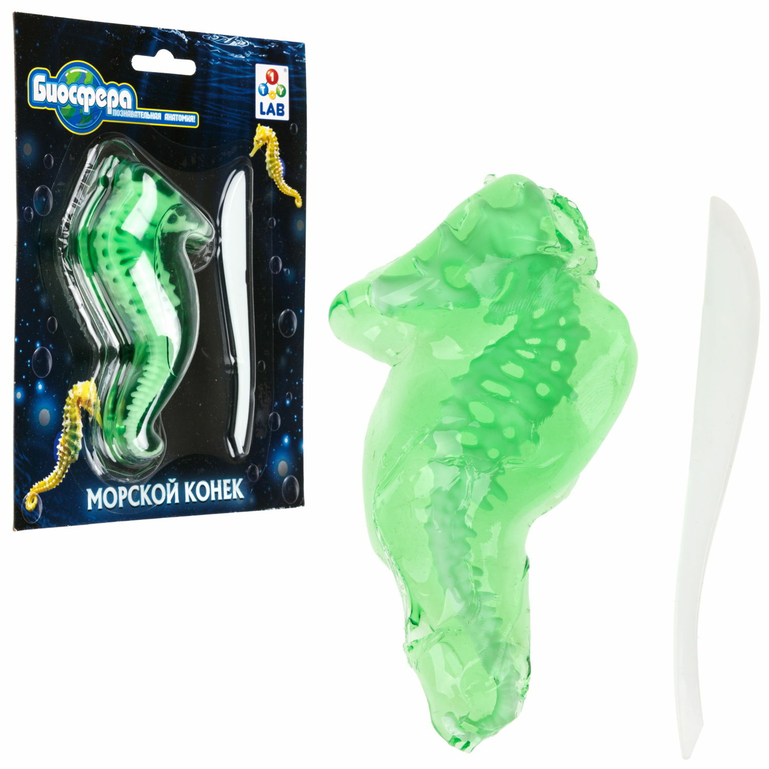 Набор для опытов 1TOY Морской конек - фото 3