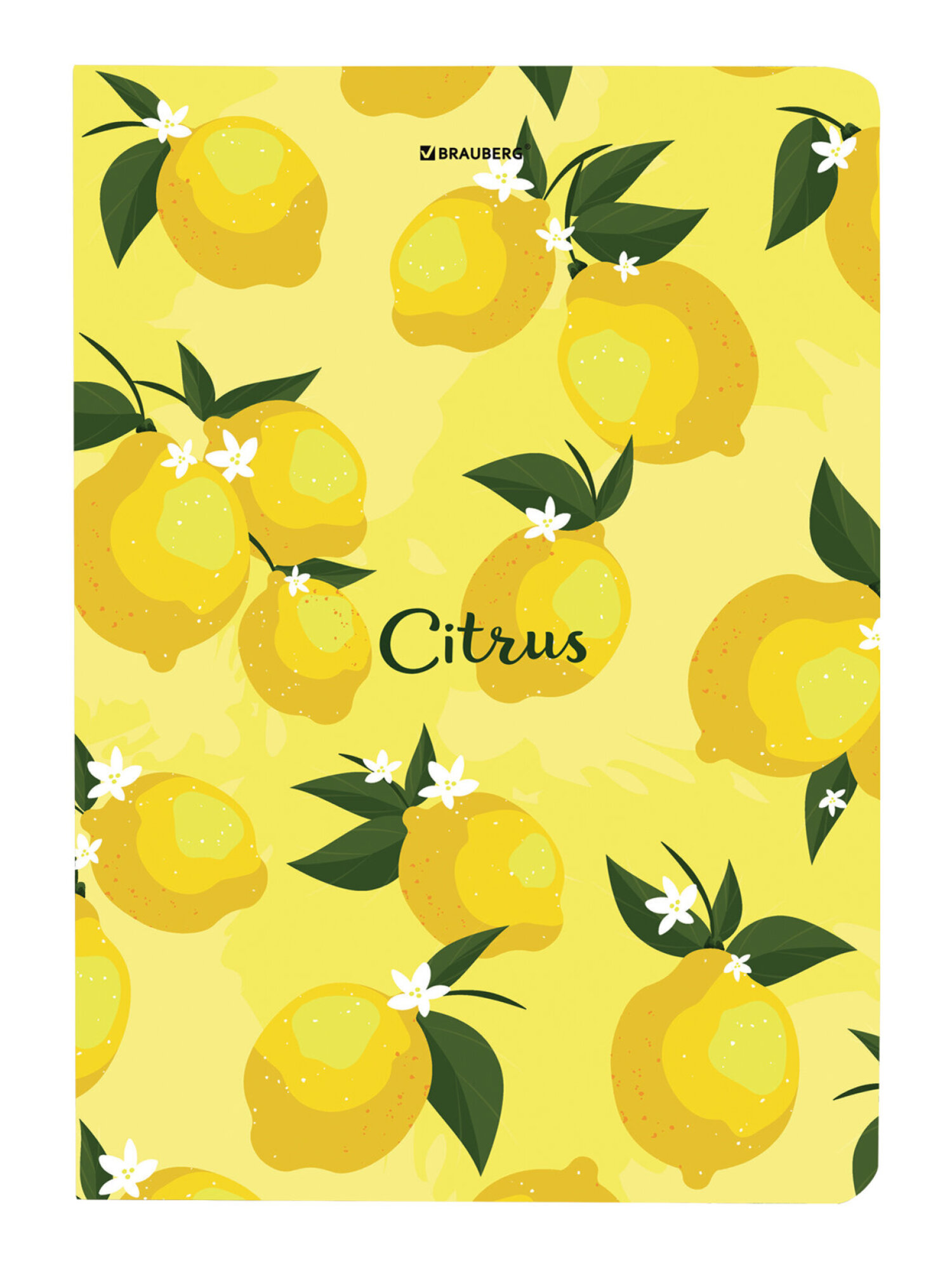 Блокнот Brauberg 96 лист. - фото 11