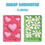 Блокнот Проф-Пресс в клетку Дутыши 12х18 см. 64 лист.