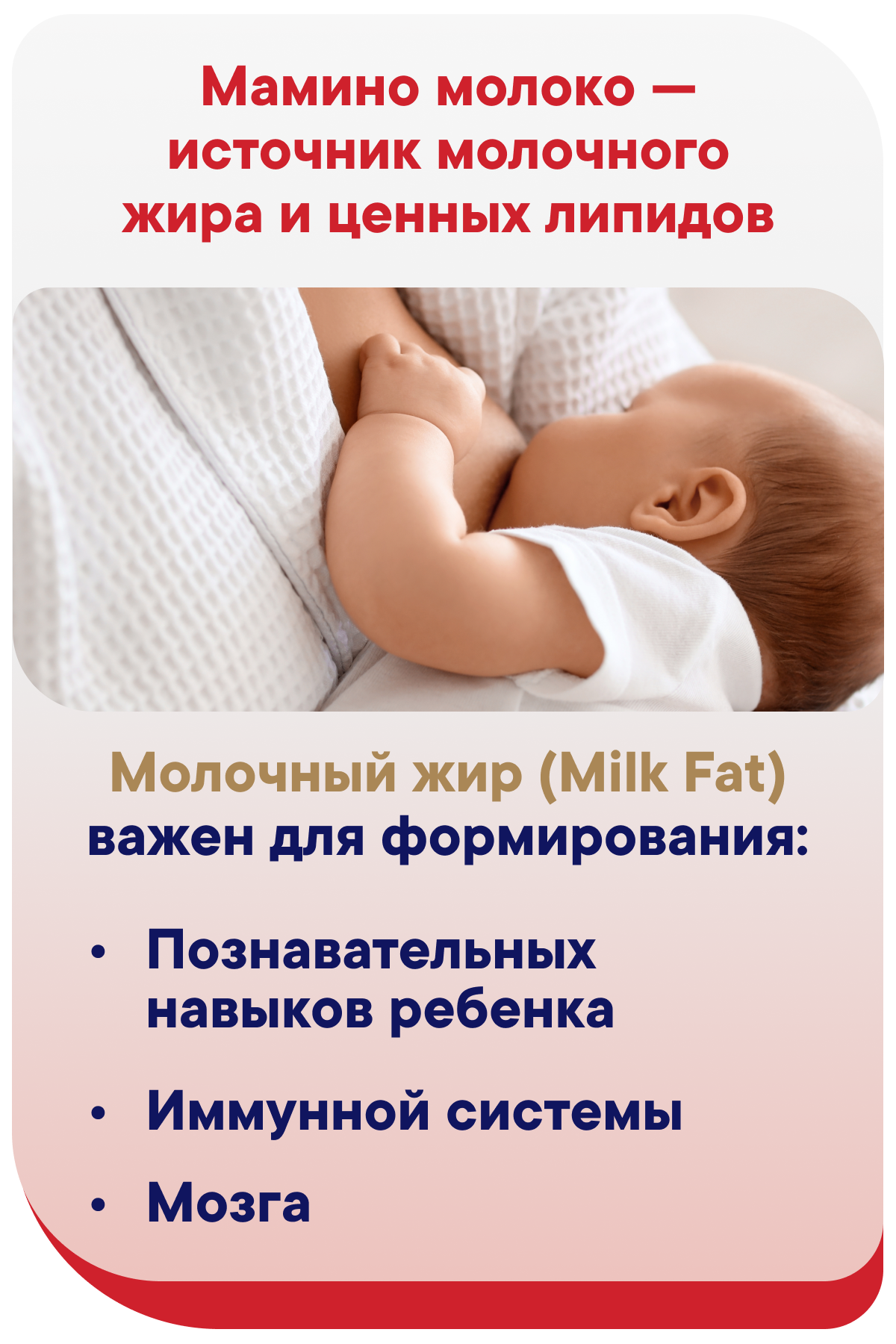 Смесь Semper Bifidus Exclusive 1 400г - фото 7