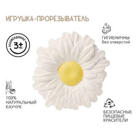 Прорезыватель OLI and CAROL