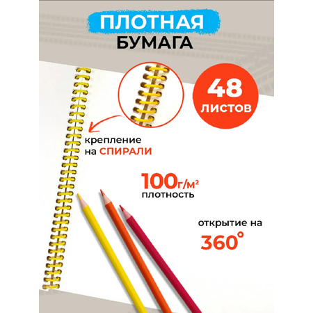 Альбом Prof-Press А4 48 лист. 2 шт.