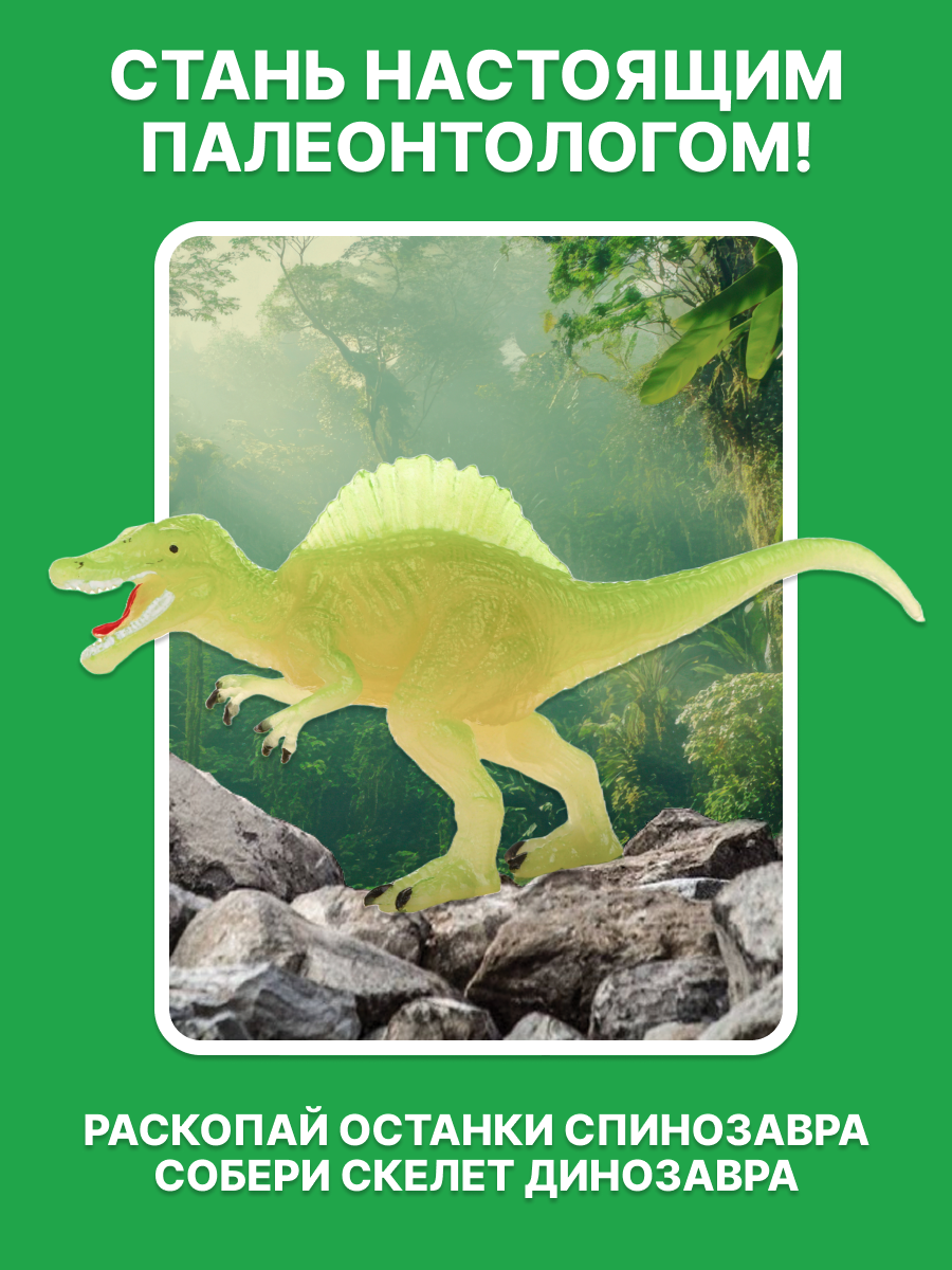 Набор для раскопок ON TIME - фото 4