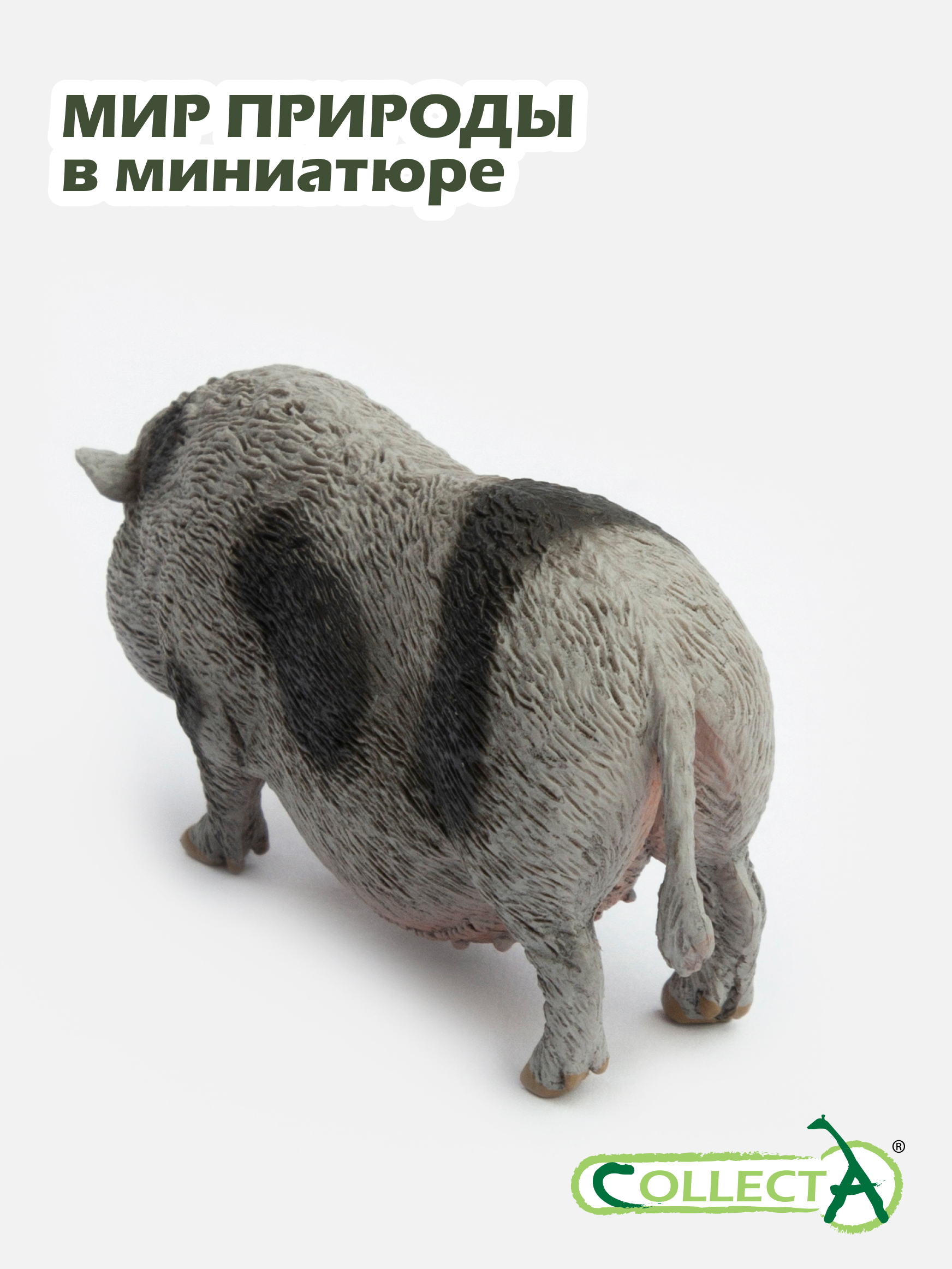 Фигурка Collecta Вьетнамская вислобрюхая свинья - фото 7