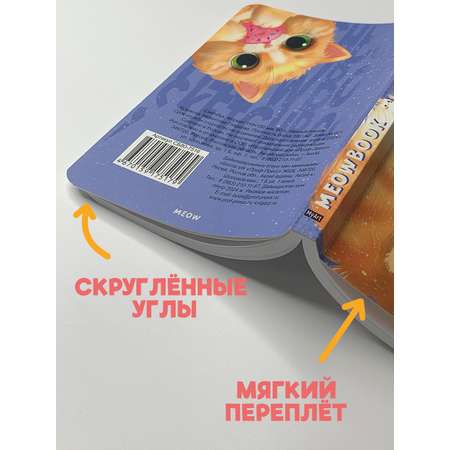 Скетчбук Проф-Пресс карманный блокнот Meowbook. А6 80 лист. 1 шт.