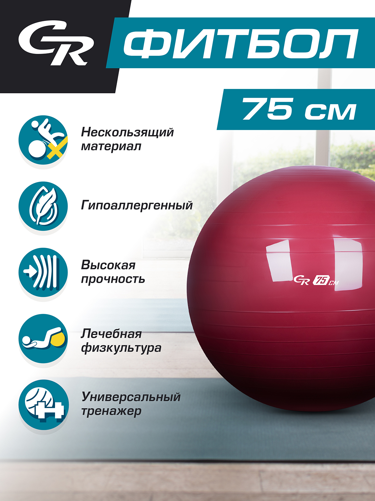Мяч гимнастический CITYRIDE Фитбол 75см - фото 2