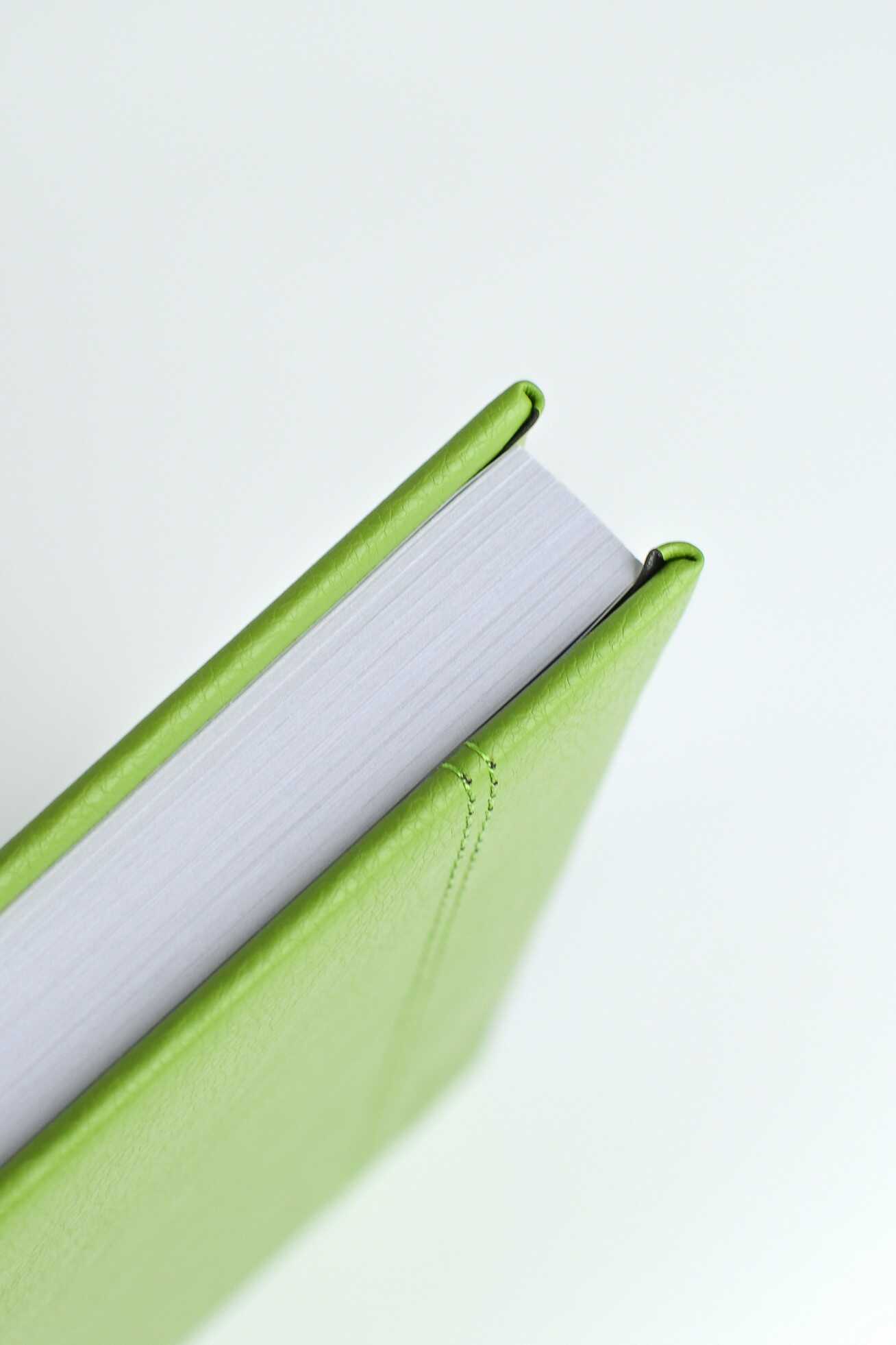 Ежедневник Феникс + ESCALADA 176 лист. - фото 9