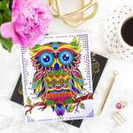 Алмазная мозаика Color Puppy Сова