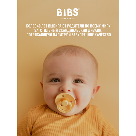 Крышка BIBS