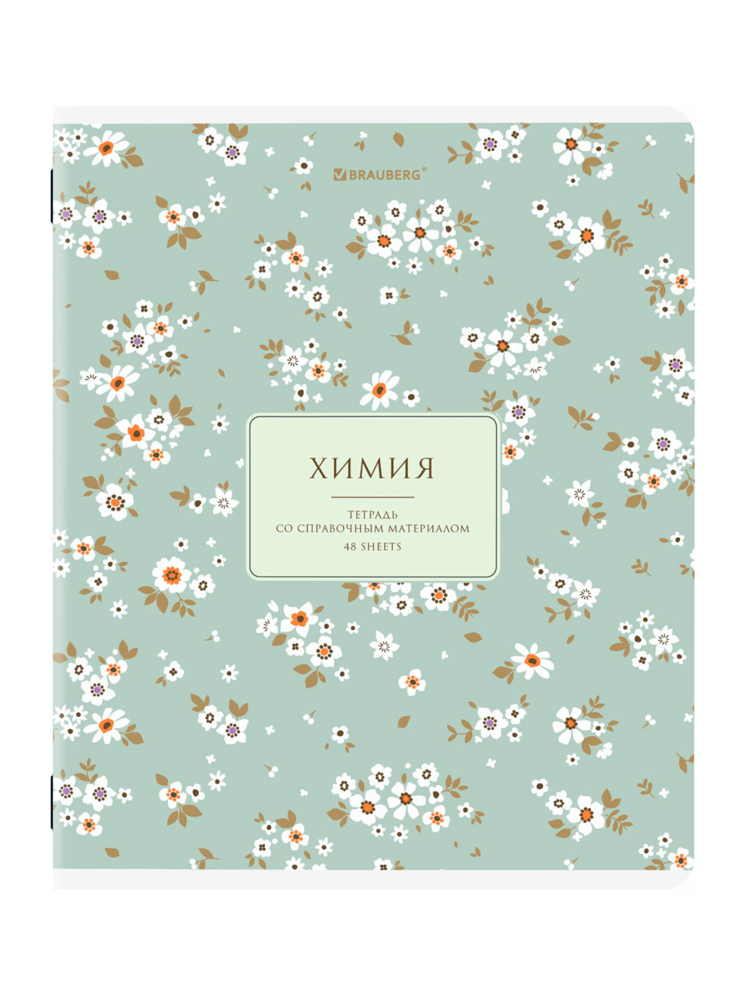 Тетрадь Brauberg 48 лист. 12 шт. - фото 10