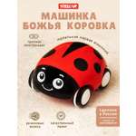 Насекомое Стеллар Божья коровка