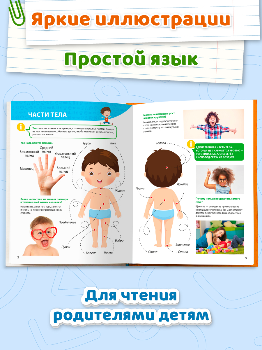 Книга Проф-Пресс Первая детская энциклопедия Всё о теле человека малышам - фото 2