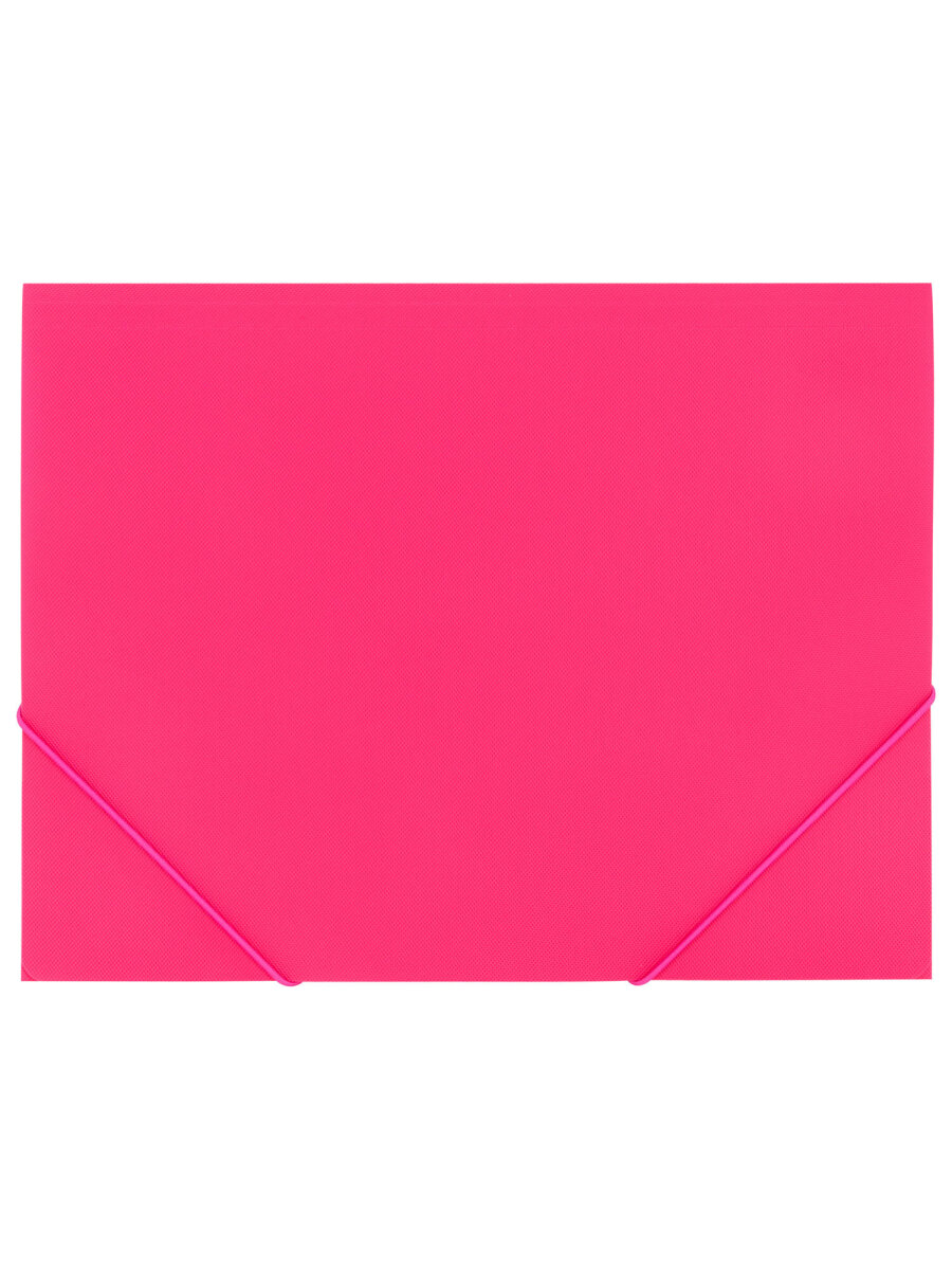 Папка для тетрадей Brauberg на резинках А4 - фото 3