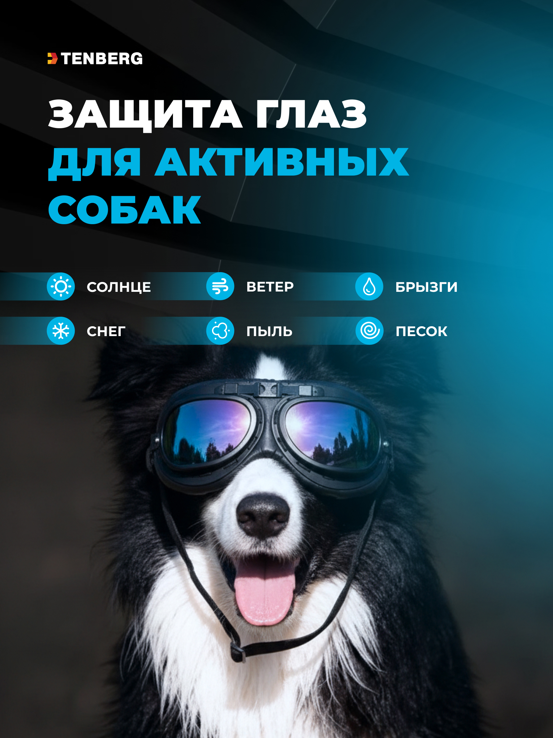 Солнцезащитные очки для собак TENBERG Barkley UV Black - фото 7
