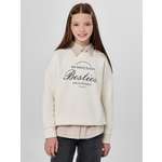 Свитшот Mark Formelle (Марк Формэль)